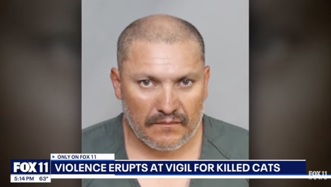 Suspected cat serial killer protested by violent mob